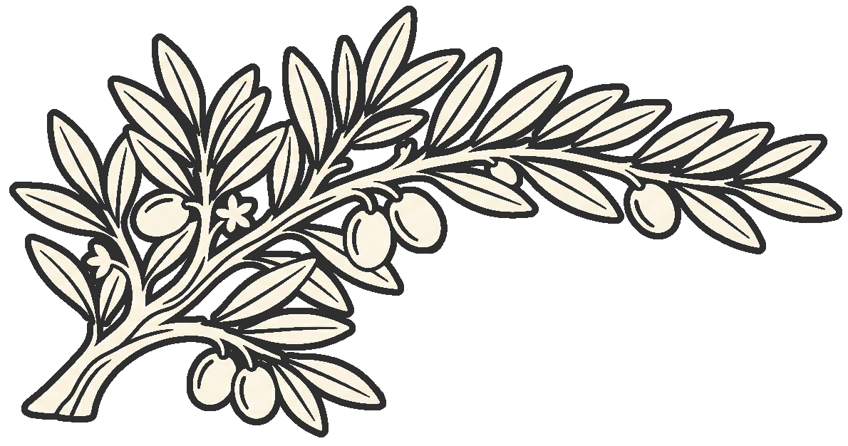 The Olive Branch